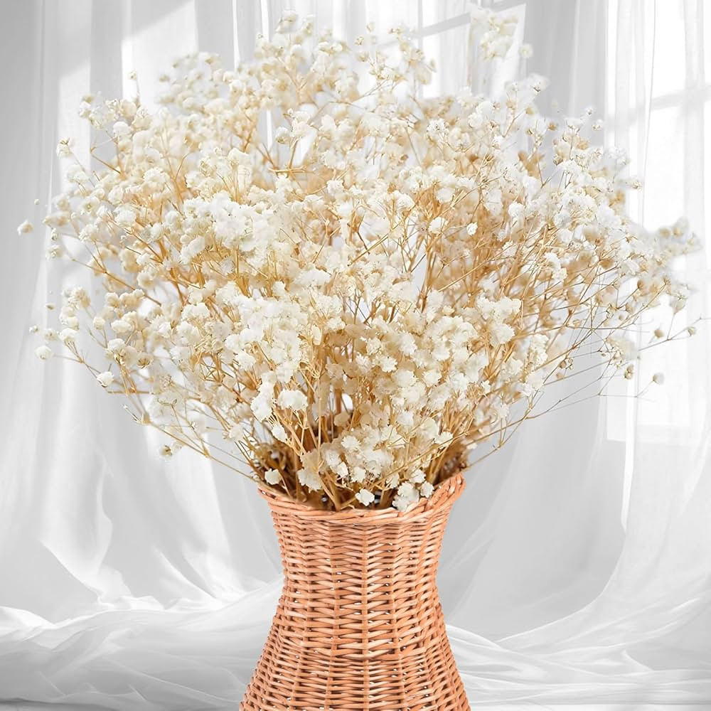 2500+ Dried Babys Breath Flowers Bulk - 17" Ivory White Dried Flower Bouquet, Real Natural Gypsop... | Amazon (US)