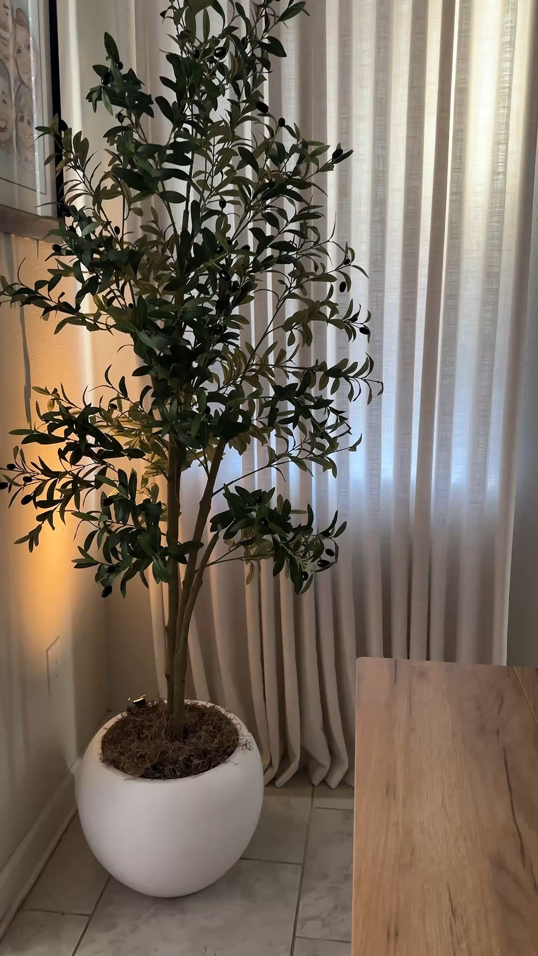 The perfect pot planter for this olive tree 🌳

#LTKHome #LTKFestival #LTKSpringSale