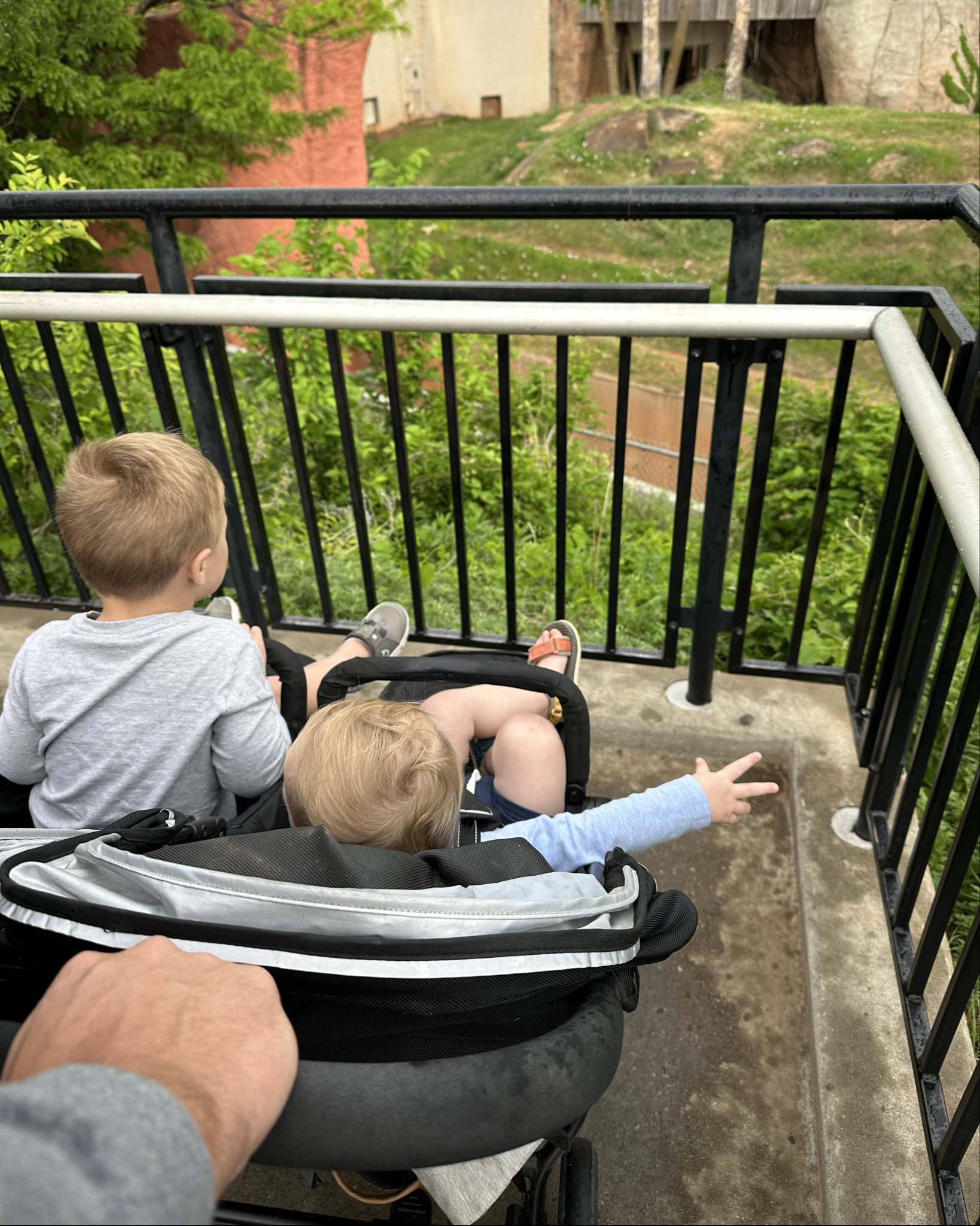 The best double stroller for Zoo days 🐅🦍🦒🐘🐊🦓🦏

#LTKKids #LTKmomlife #LTKBaby