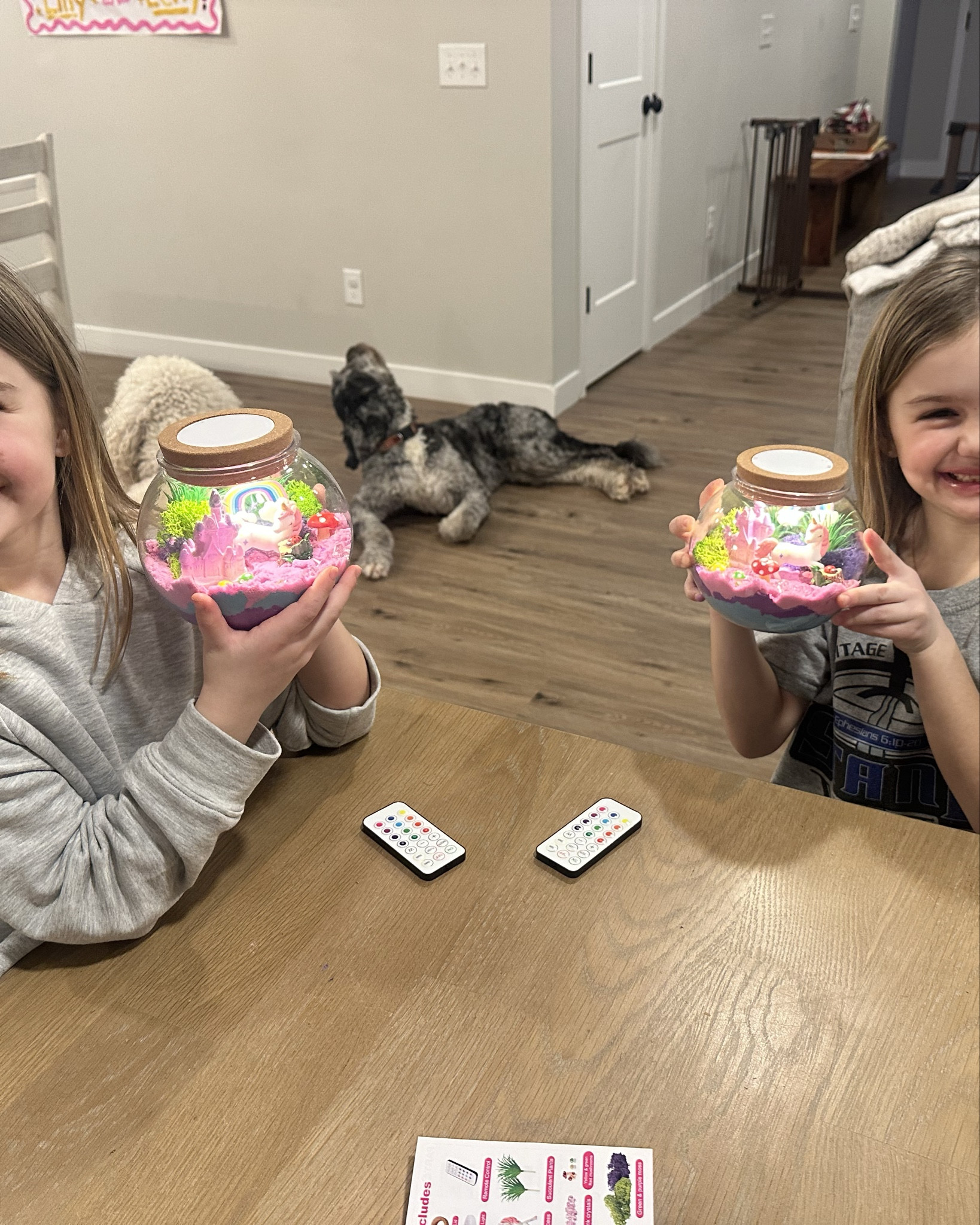 Arts and craft time! My girls built these unicorn terrariums and absolutely love them! They have an LED light as well! 

#LTKdayinmylife #LTKKids #LTKmomlife