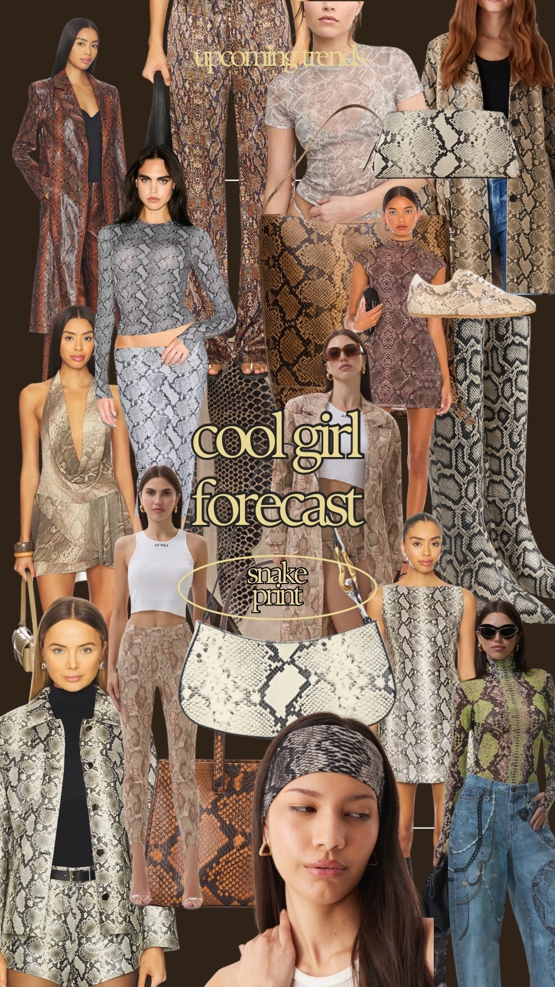 CLOTHING 2026 Snake Print✨🐍🤎

#LTKootd