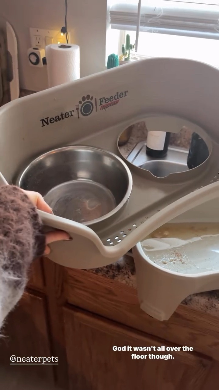 The handiest pet feeder/ bowl situation to catch all the drips and jess that your dog and kids make 😜 #pets

#LTKmomlife #LTKHome