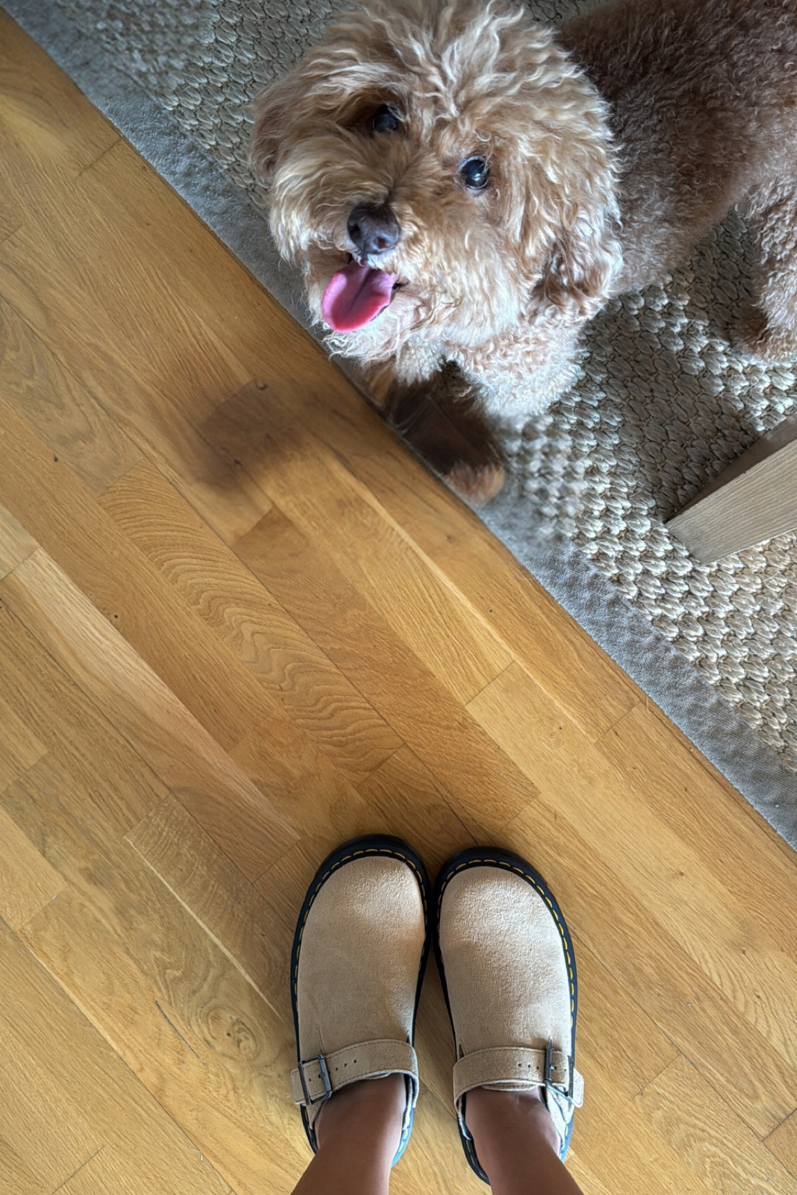 Doc Marten Clogs >> Birkenstocks 

#LTKBacktoSchool #LTKShoeCrush