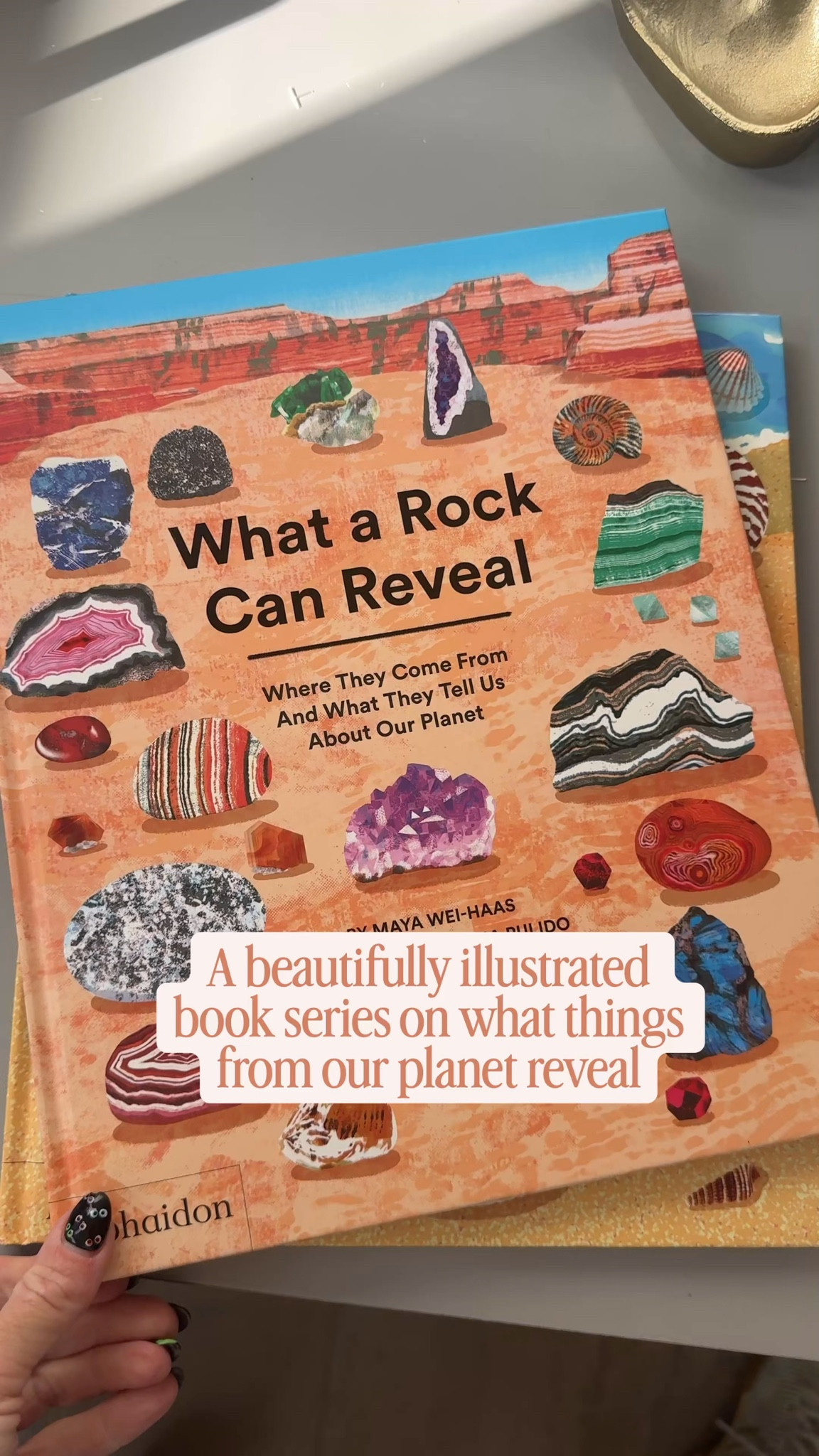 I love this book series about what the environment around you reveals. Both beautifully illustrated and educational. These are great holiday kids gifts. Recommended  ages six years old to 10.  

#KidsBooks #GiftsForKids #HolidayGiftsForKids #EducationalBooksForKids 

#LTKFindsUnder50 #LTKGiftGuide #LTKKids