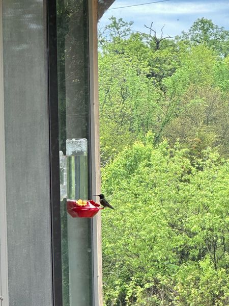 Hummingbird feeder from Amazon 

#LTKSeasonal #LTKHome #LTKSaleAlert