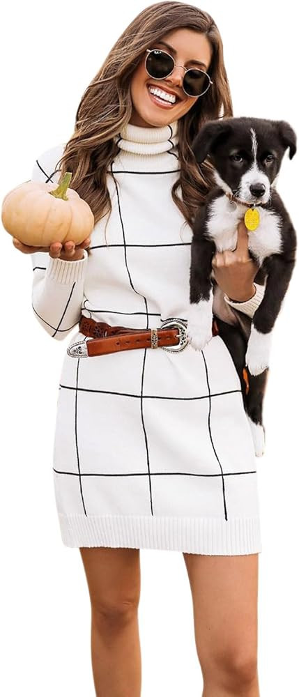 CHICWISH Women's Comfy Casual Long Sleeve Neck Knit Top Pullover Sweater | Amazon (US)