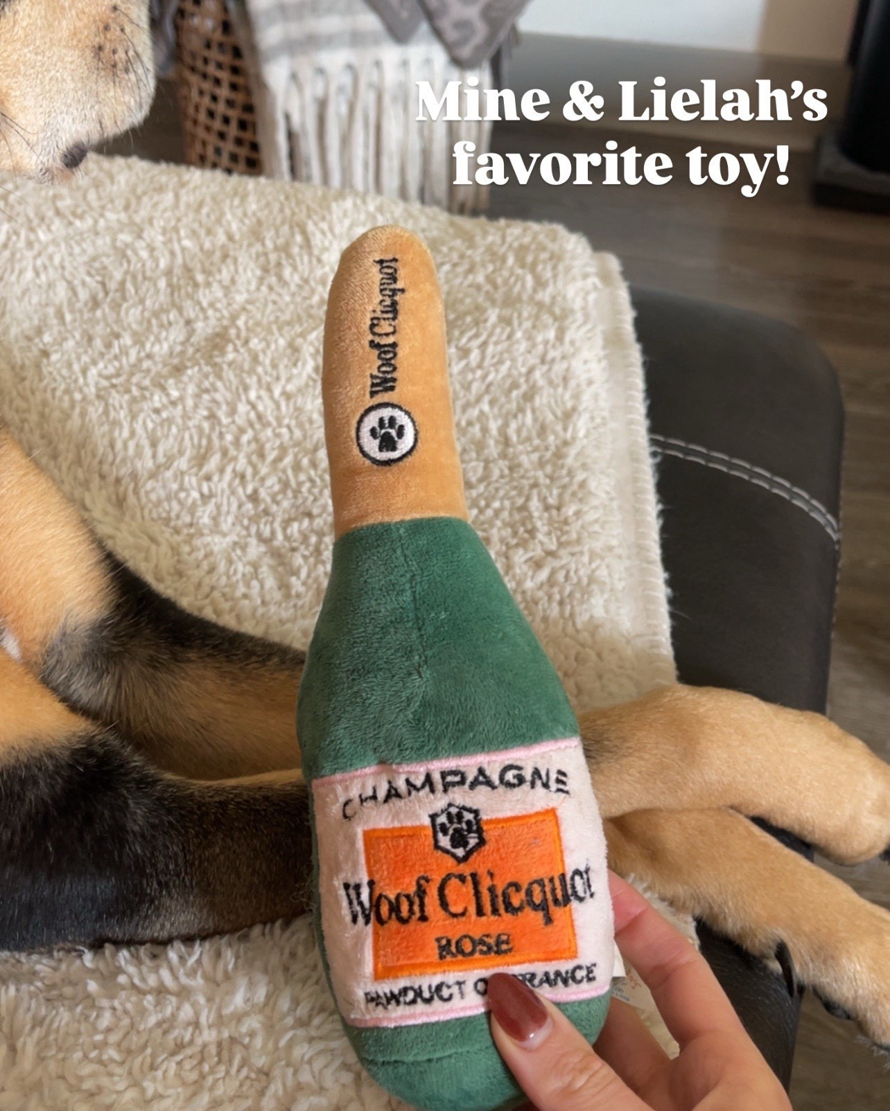 Champagne Dog Toy, girly dog toy, designer inspired dog toy, luxury dog toy, cute dog toy Amazon, pink dog toy, plush dog toy, squeaky dog toy, aesthetic pet toys, boutique dog accessories, small dog toy, puppy toy essentials, dog enrichment toy, playful pet accessories, dog must haves, Amazon dog toys, Amazon pet finds, Amazon dog essentials, affordable pet finds, under $20 dog toys, viral Amazon pet finds, trending dog accessories 2026, TikTok dog toy, influencer pet finds, spoiled dog essentials, dog mom life, girl dog accessories, pink aesthetic pet, preppy pet accessories, martini dog toy, cocktail dog toy, champagne bottle dog toy, themed dog toys, fun novelty dog toy, pet gift ideas, dog birthday gift idea, dog lover gift ideas, cute home pet accessories, Morgan Grace, Champagne Dog Toy, Girly dog toy, designer dog toy, Amazon dog toy, cute dog toy Amazon, Amazon dog must have, Amazon dog essentials, girl dog toys, girl dog accessories, pink dog toy, alcohol dog toys, martini dog toy, cocktail dog toy

#LTKActive #LTKHome #LTKdayinmylife