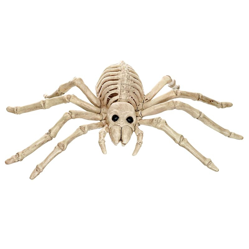 Halloween Spider Skeleton, 9" | At Home
