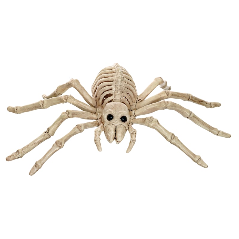 Halloween Spider Skeleton, 9" | At Home