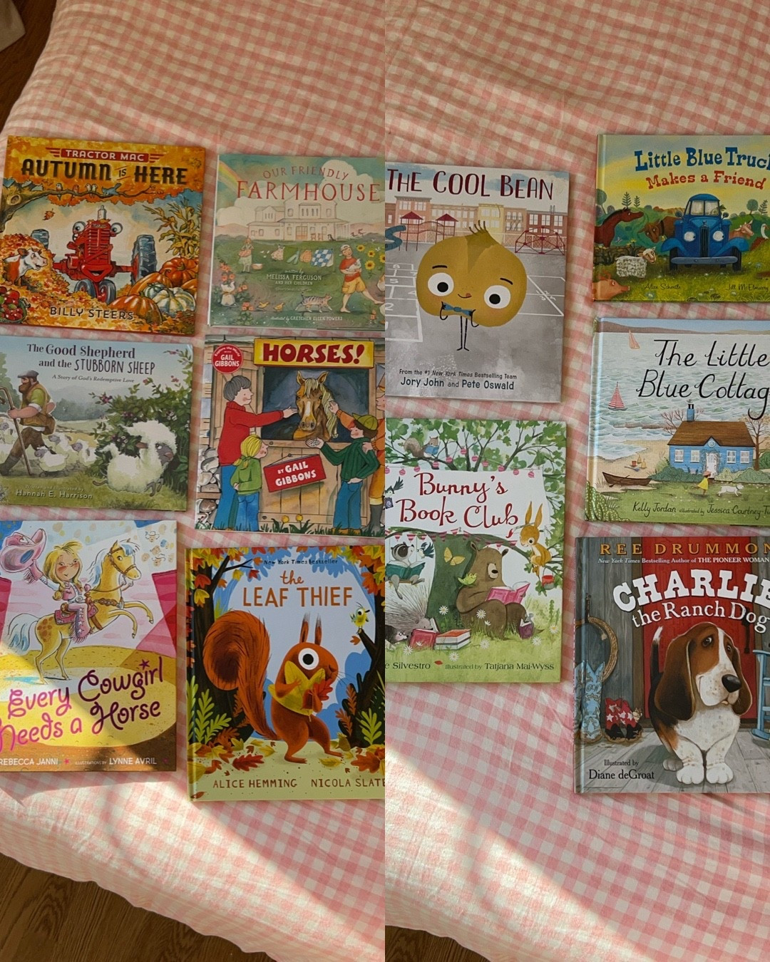 Books both my 2 and 4 year old enjoy to read together! Both kids love animals so a lot have animals, books on kindness, friendship, and a few about faith as well  