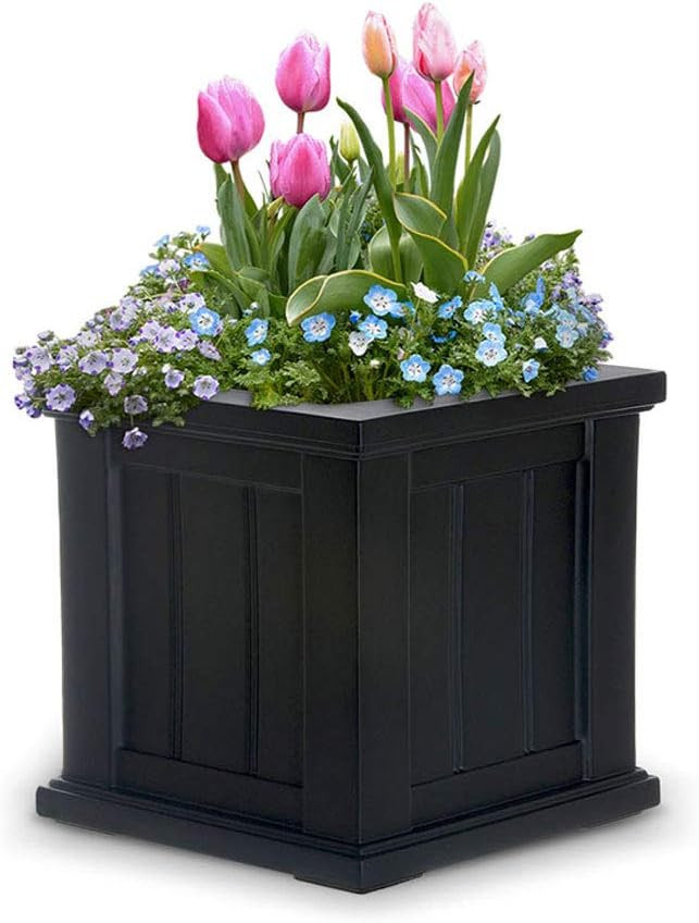 Mayne 4836B Cape Cod 14in Square Planter, 14in L x 14in W x 14in H, Black | Amazon (US)