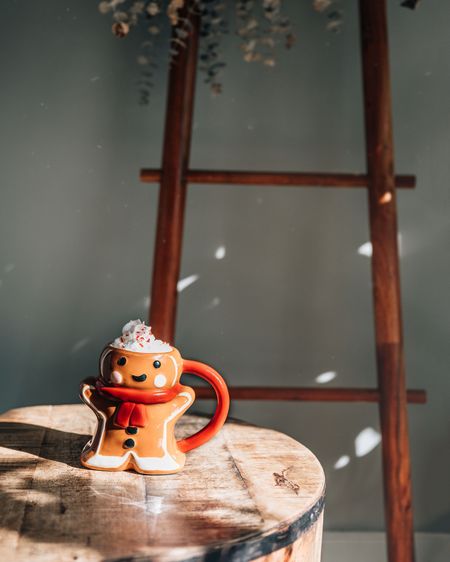 Gingerbread mug, blanket ladder

#LTKhome #LTKSeasonal #LTKHoliday