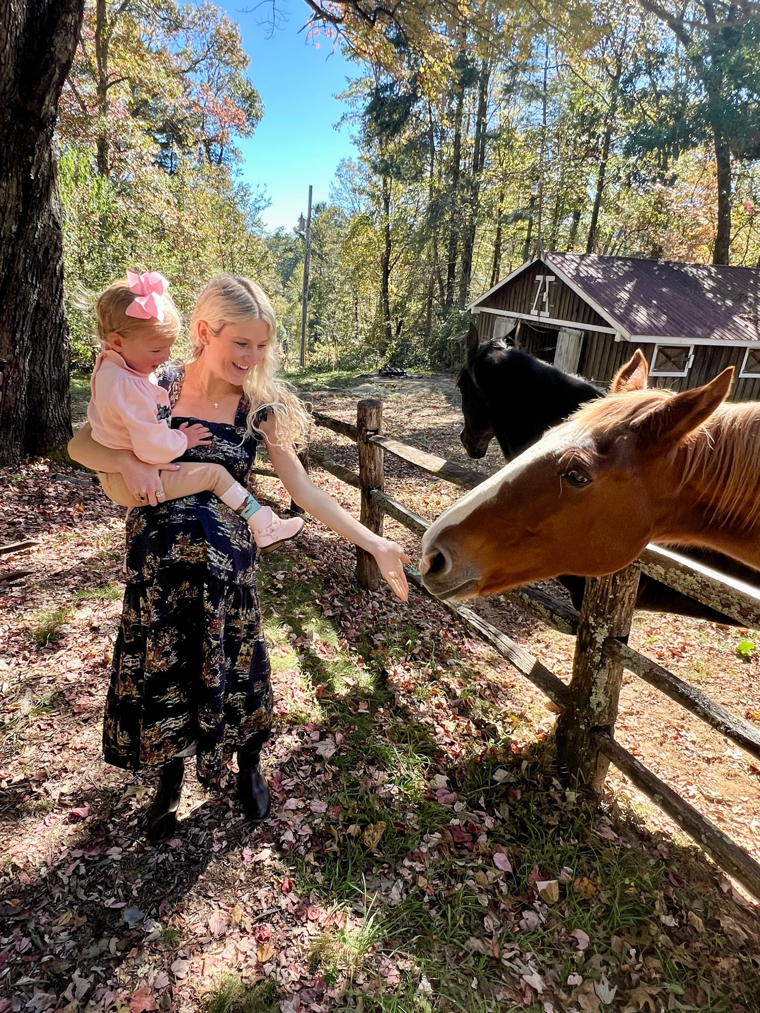 Equestrian girl fall 

#LTKSeasonal #LTKHome #LTKBump