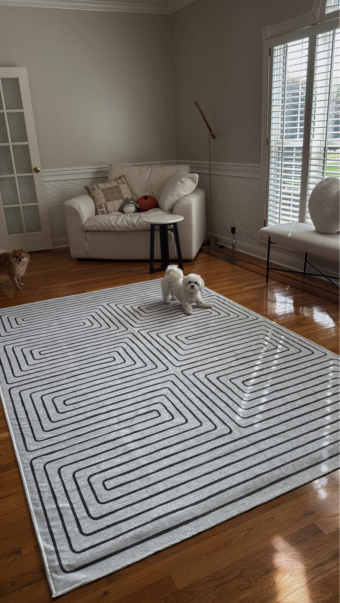 New office rug! 

#LTKGiftGuide #LTKHome