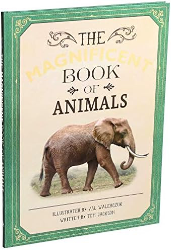 The Magnificent Book of Animals | Amazon (US)