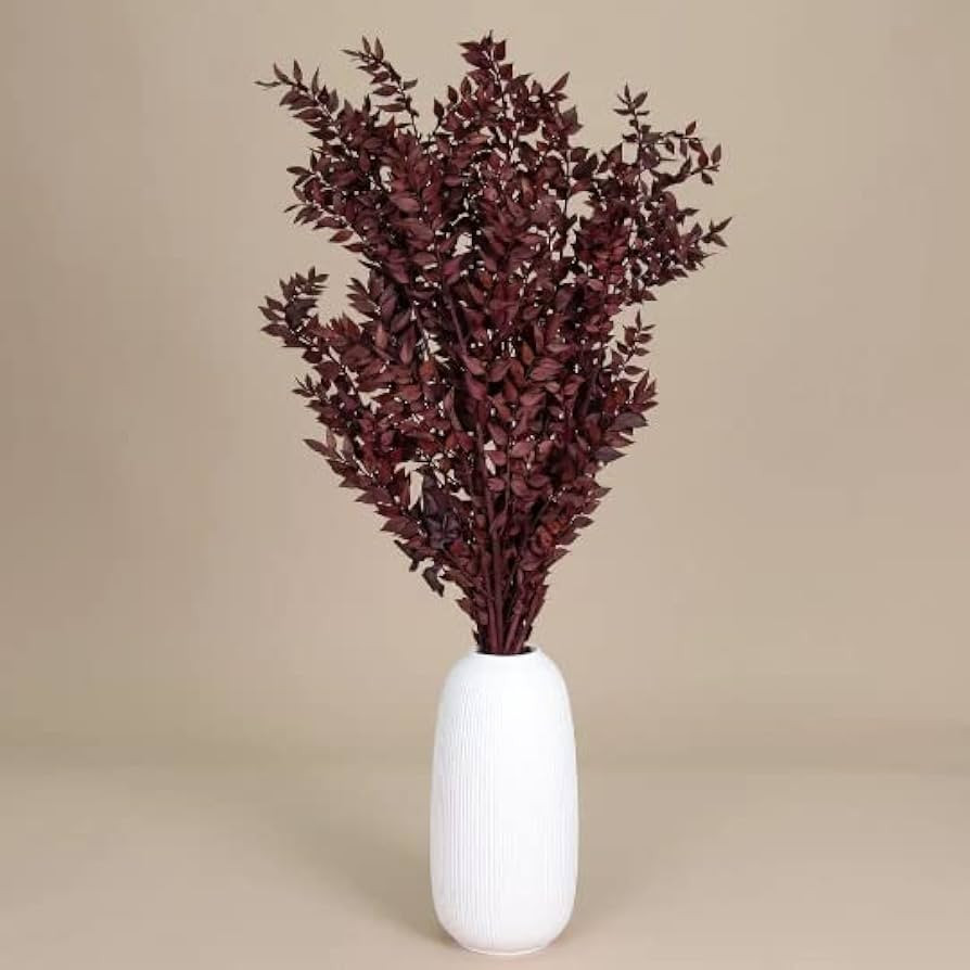 Burgundy Italian Ruscus Dried 5 Stems/Preserved Ruscus/Burgundy Wedding Flowers/Dried Flowers/Pre... | Amazon (US)