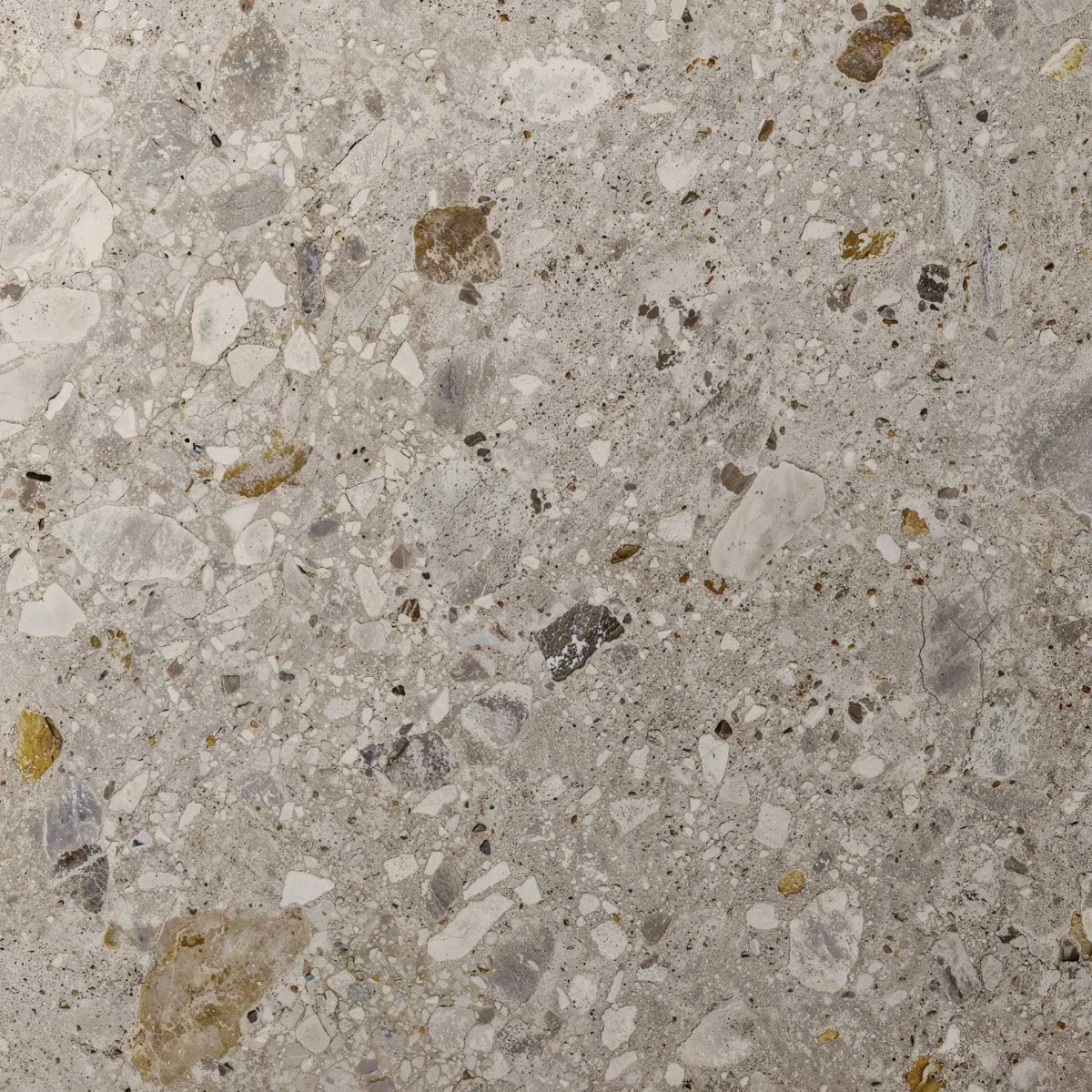 Stonehenge 47.16 In. X 47.16 In. Terrazzo Look Matte Porcelain Floor And Wall Tile (30.98 Sq. Ft.... | Wayfair North America