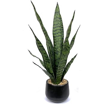 Bird Fiy Artificial Snake Plant 22.5" Faux Agave Fake Sansevieria Artificial Potted Plants for In... | Amazon (US)