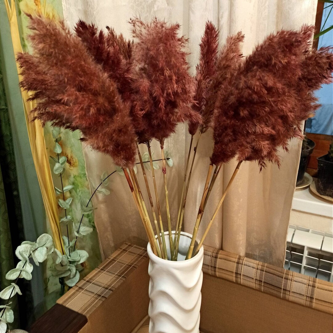 Tall Pampass Grass, Cinnamon Color, One Stem, Chocolate Wedding, Dry Flower Arrangement, Home Dec... | Etsy (US)