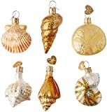 Old World Christmas Mini Ornamen Glass Blown Ornaments for Christmas Tree Assorted Sea Shell Set | Amazon (US)
