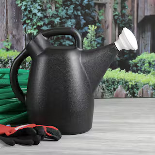 Chapin 47998: 2-Gallon Tru-Stream Outdoor and Indoor 100% Recycled Plastic Watering Can, Removabl... | The Home Depot