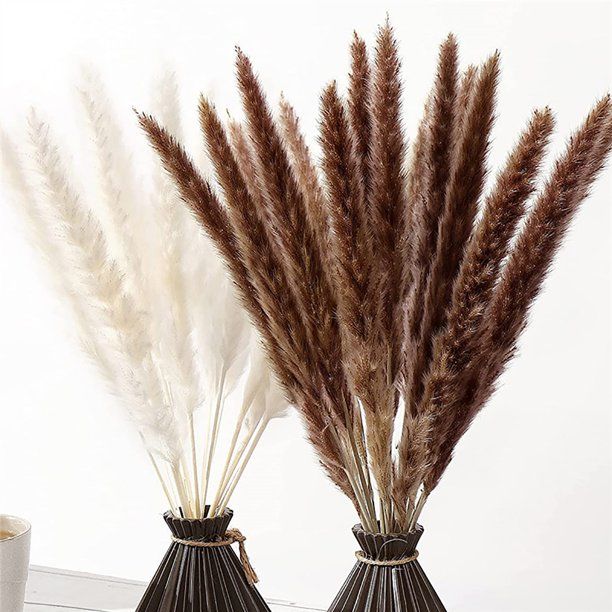 Yache 30Pcs Dried Grass Eco-friendly Beautiful Dried Flower Artificial Dried Pampas Grass for Hom... | Walmart (US)