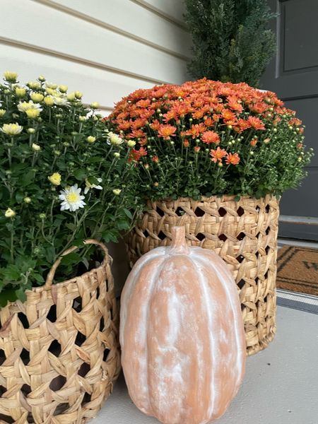 Fall Decor
Target baskets and pumpkins. I painted the pumpkin and added baking soda while the paint was still wet to give it the terra cotta look. Mums from local store.

#LTKSeasonal #LTKHalloween #LTKhome