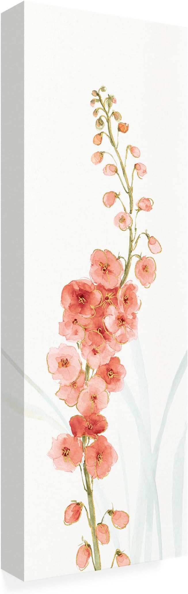 Wrapped Canvas Wall Art - Lisa Audit 'Rainbow Seeds Flowers VII Coral' Wall Art for Living Room, ... | Amazon (US)