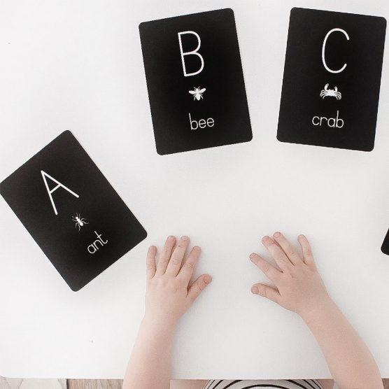 Alpha Baby Designs Alphabet of Animals Uppercase Flash Cards | The Tot