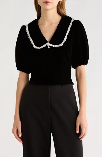 All in Favor Velvet Embroidered Peter Pan Collar Crop Top in Black at Nordstrom Rack, Size Small | Nordstrom Rack