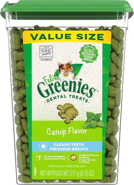 GREENIES Feline Catnip Flavor Adult Dental Cat Treats, 9.75-oz tub - Chewy.com | Chewy.com