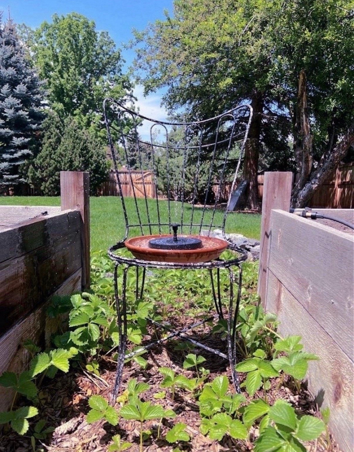 Set up a super cute and budget friendly water feature in your garden with this kit I found from Amazon 👀🩷

#LTKSpringSale #LTKHome #LTKSeasonal