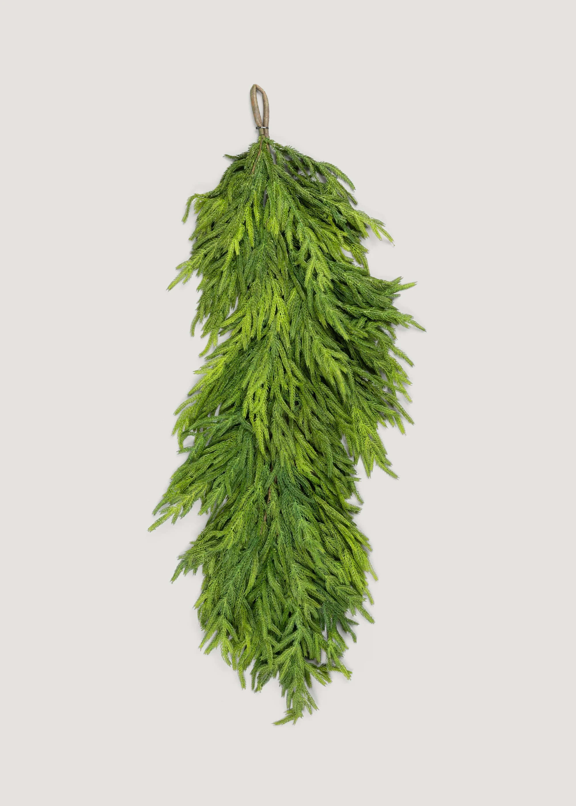 Deluxe Norfolk Pine Garland | Faux Christmas Garlands at Afloral | Afloral