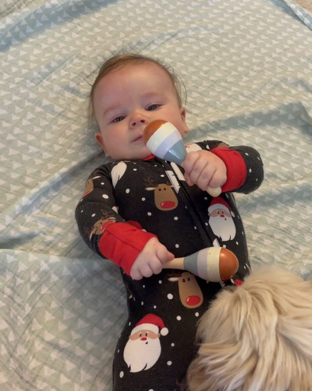 Another great Brain Development Toy for infants. Mine is 4.5 months old and we have a music class all the time!

#LTKBump #LTKBaby #LTKGiftGuide