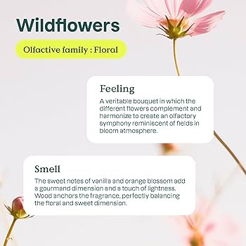 ATTITUDE Dishwashing Liquid, EWG Verified, Vegan Dish Soap, Plant Based, Naturally Derived Produc... | Amazon (US)