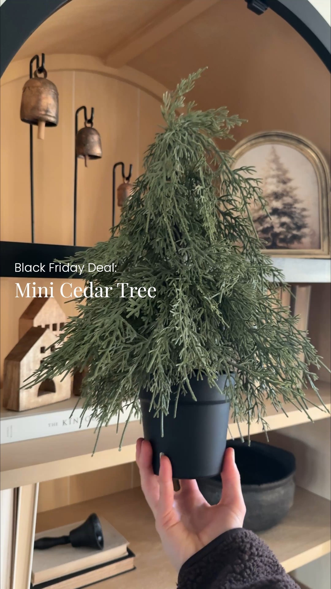 Black Friday Deal! 🚨
I have this little Amazon mini cedar tree in almost every room. The soft greenery and simple shape make it so easy to style anywhere— shelves, countertops, side tables, you name it. 


#LTKhome #LTKsale #LTKholiday