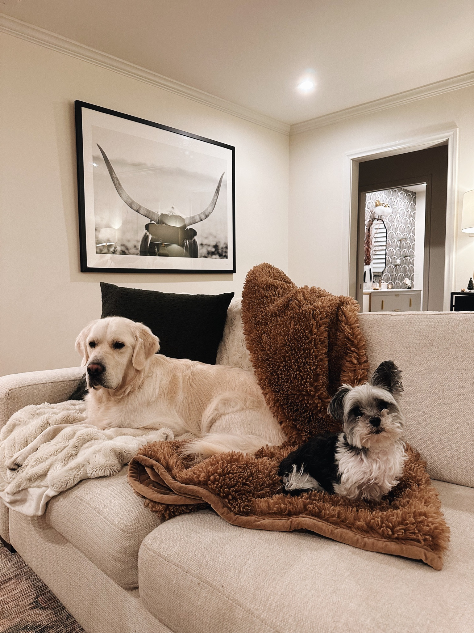 The best pet friendly washable throw blankets 🐶 

#LTKsalealert #LTKhome #LTKCyberweek