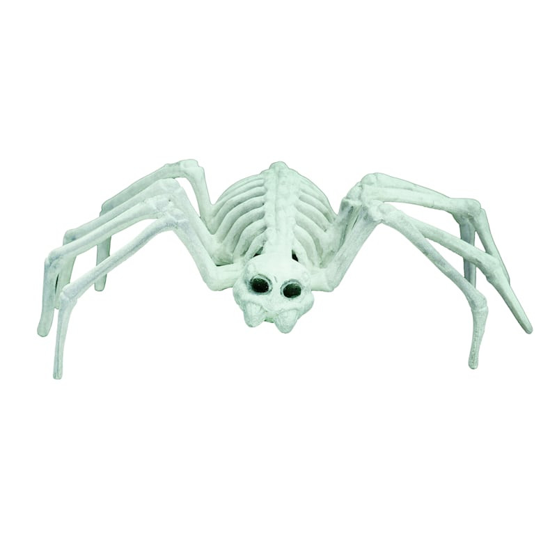 Glow in the Dark Mini Spider Halloween Skeleton | At Home
