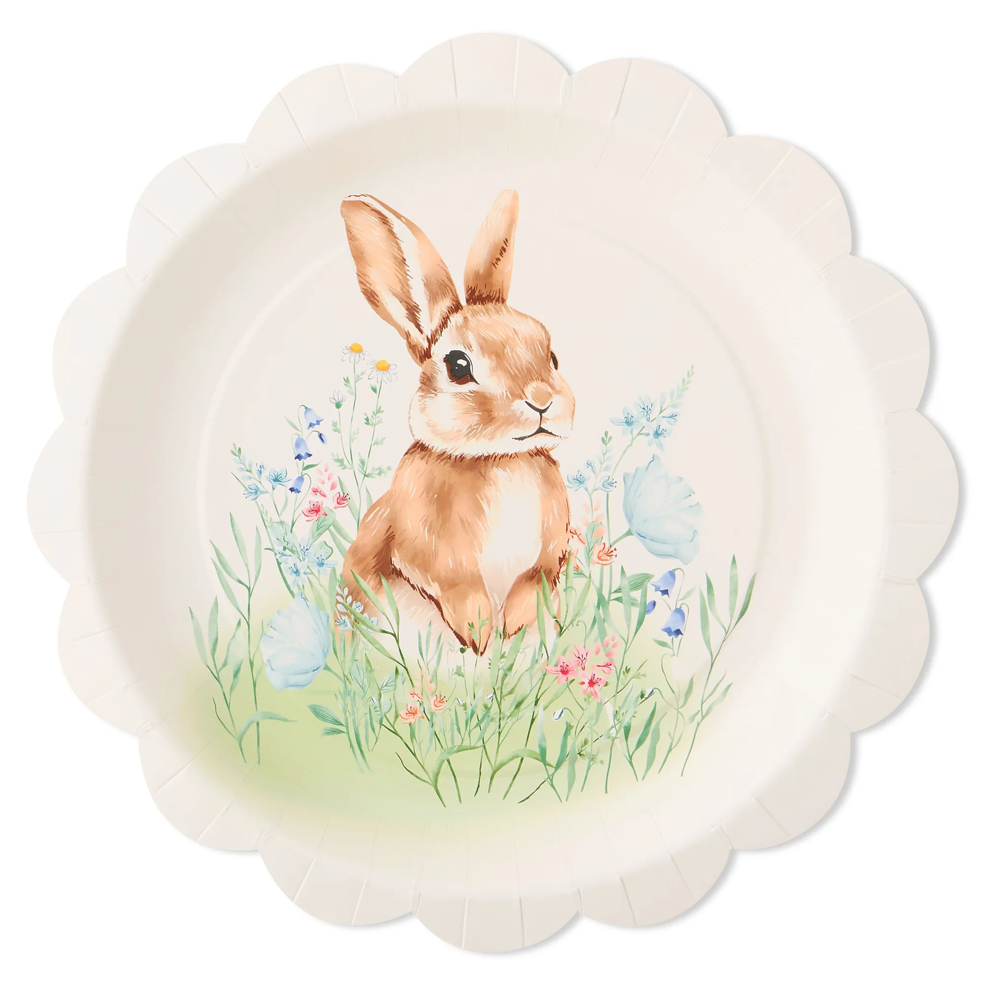 Multicolor Field Bunny Disposable Paper Plates, 11.5", 8 Count, Easter by Way To Celebrate | Walmart (US)