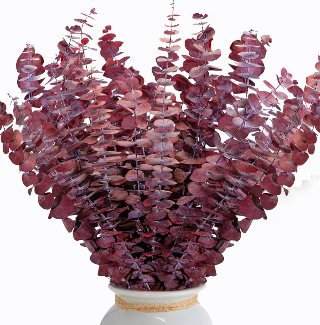 26Pcs Real Dried Fall Eucalyptus Stems, 17" Red Preserved Eucalyptus Stems for Vase, Home Decor, ... | Amazon (US)