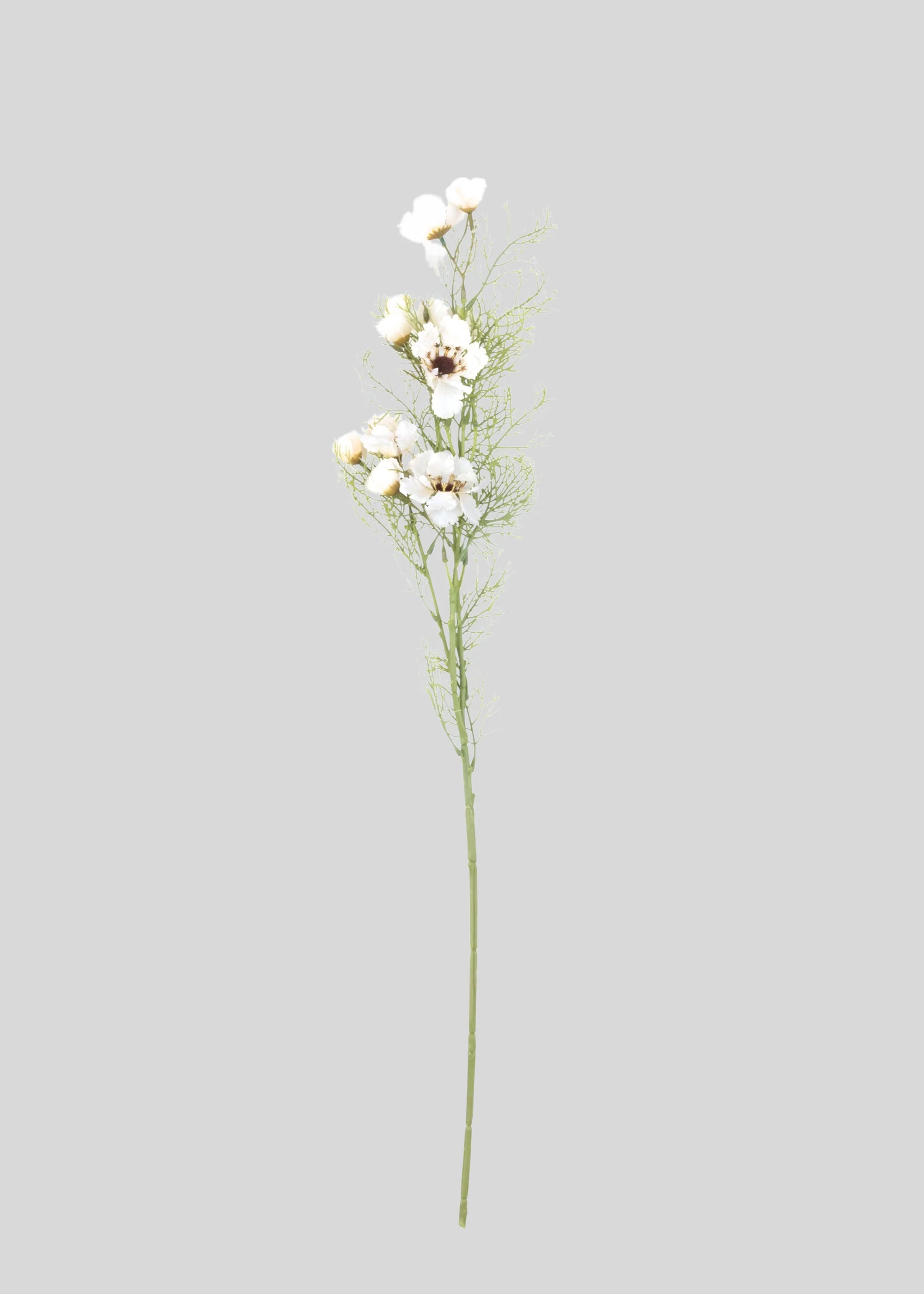 Cosmos Stem in Cream | Artificial Wildflowers at Afloral | Afloral