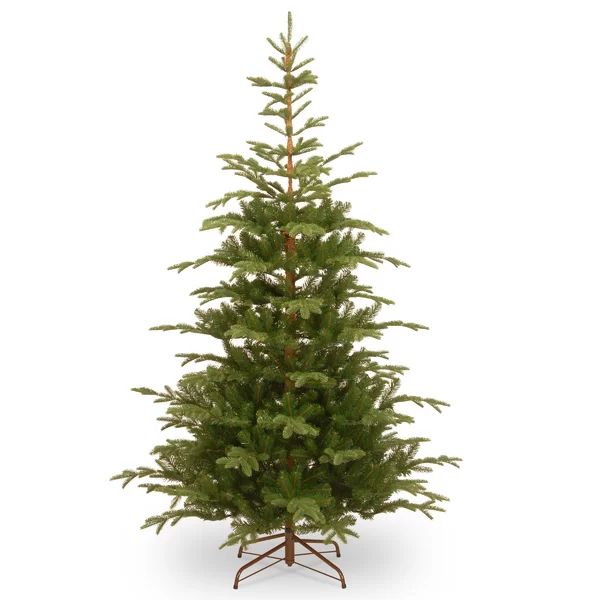 7' 6'' H Green Spruce Christmas Tree | Wayfair Professional