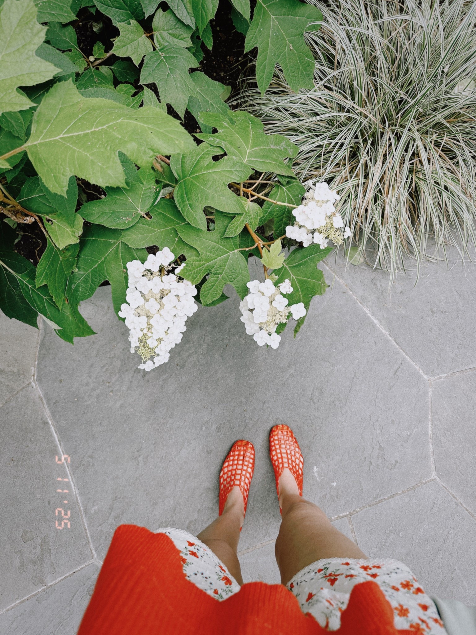 I love the jelly shoes❤️❤️❤️ 

#LTKShoeCrush #LTKFindsUnder50 #LTKFindsUnder100