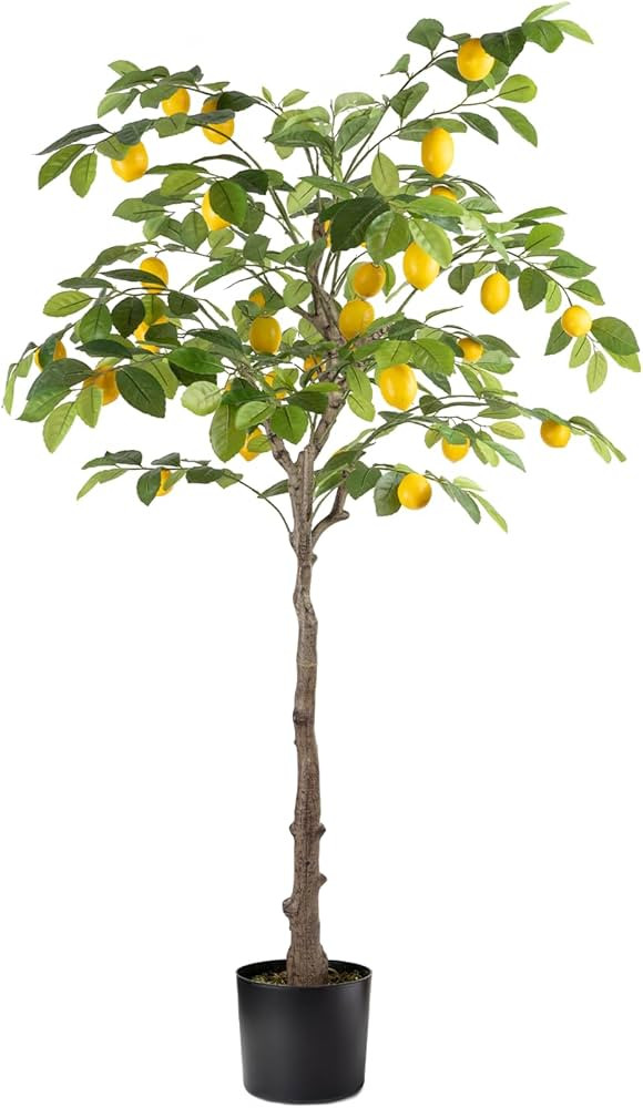Artificial Lemon Tree, 5FT Tall Fake Lemon Plant in Pot, Faux Lemon Fruit Tree for Indoor Home De... | Amazon (US)