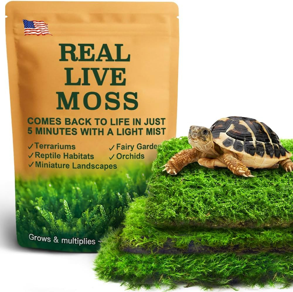 Live Moss Variety Pack – 3-Pack Mixed Mosses (Each 3.5" x 7") – Real Sheet Moss for Terrarium... | Amazon (US)