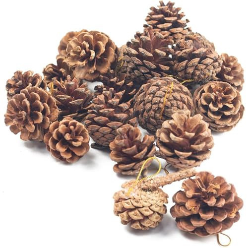 JOHOUSE 18PCS Hanging Natural Pine Cones (1.5"–2.5"), Rustic Pinecones with Strings for Fall Garland, Christmas Tree Ornaments, Wreath Making, Vase/Bowl Filler Winter Decor | Amazon (US)