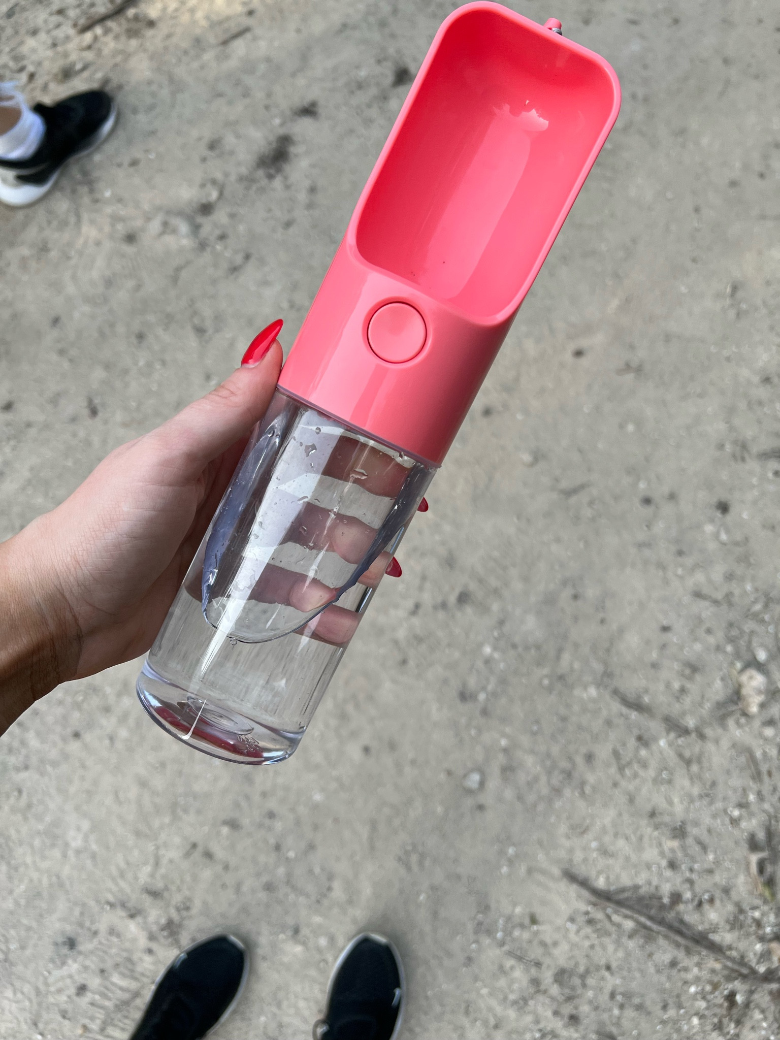 Amazon dog water bottle 


#LTKunder50 #LTKsalealert