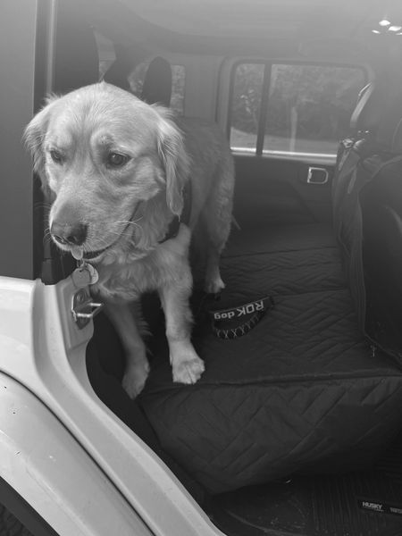 Stubby modeling the new dog bench in the backseat 🐾 so sturdy!!!! 

#LTKFind #LTKfamily #LTKtravel