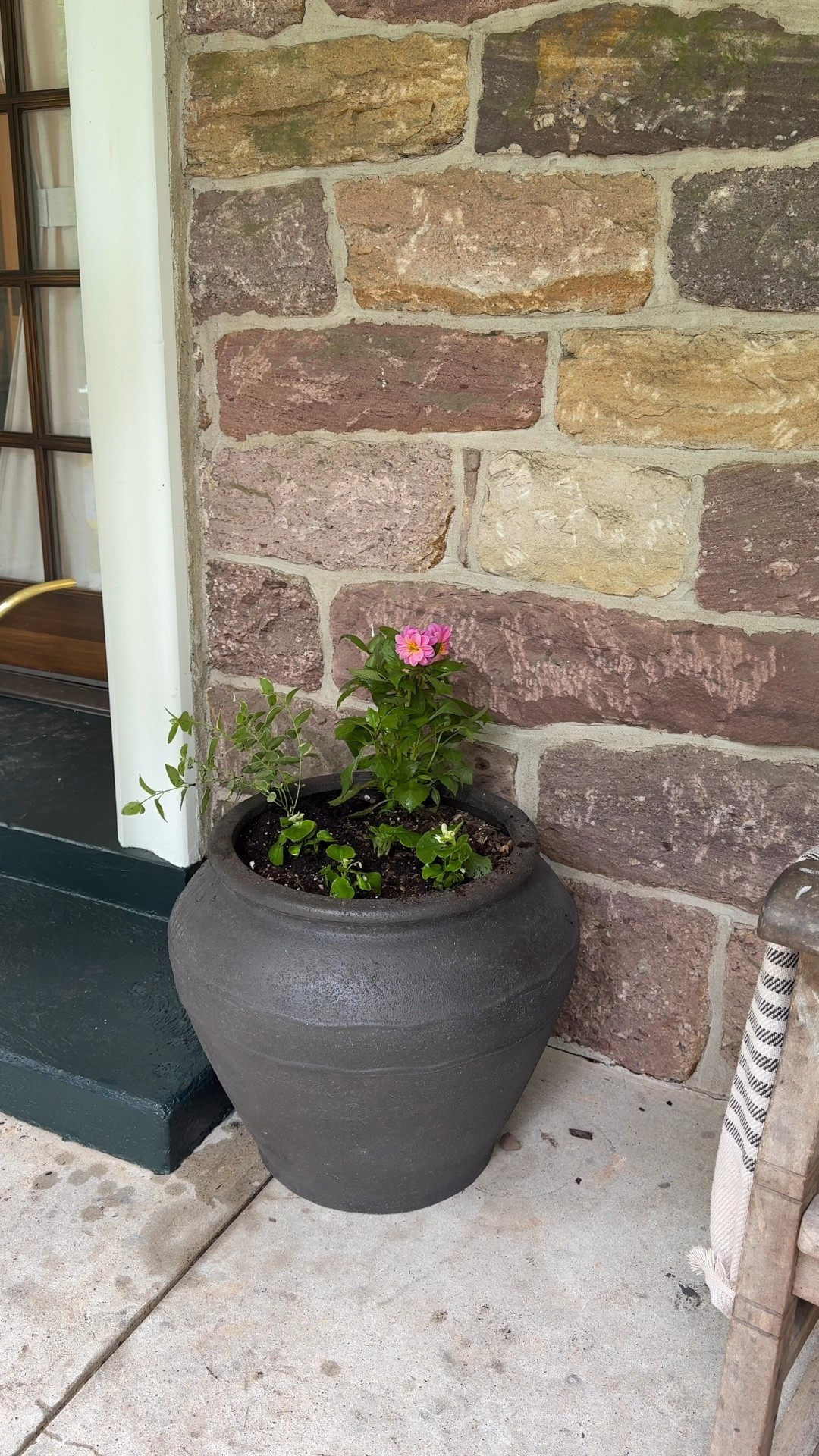 Rejuvenation is having their Memorial Day sale! These pots are big and beautiful. They have pretty details on the side and made so well! Check out their sale .

#LTKU #LTKSummerEdit #LTKHome