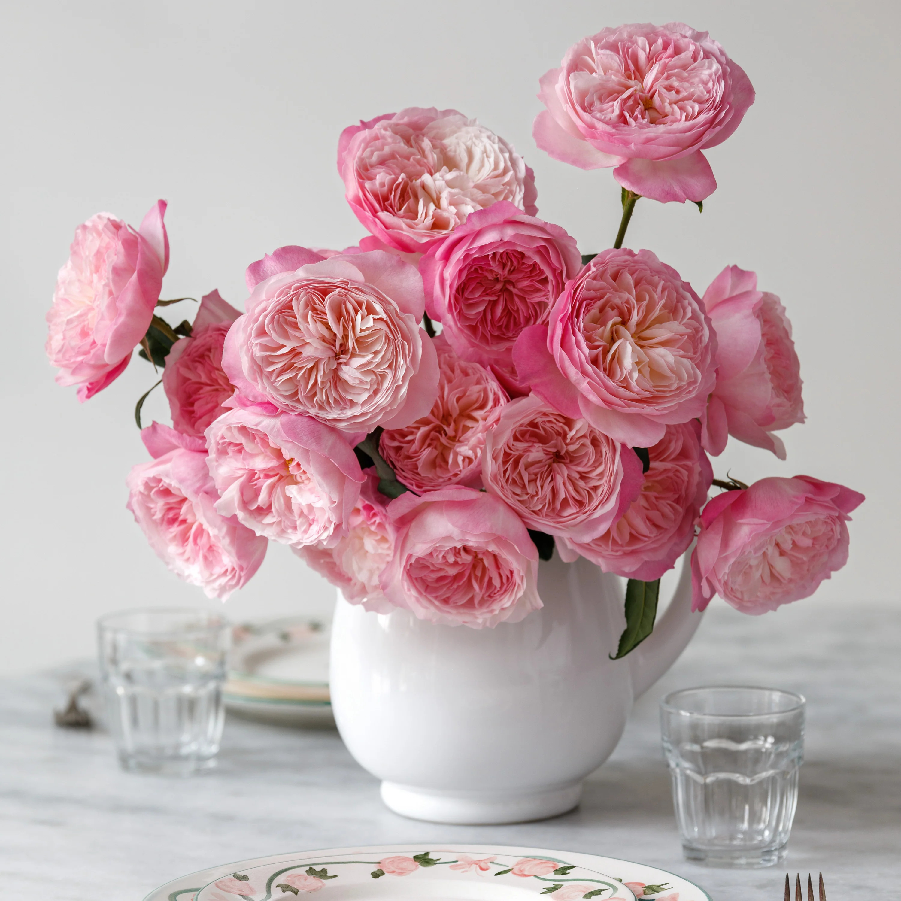 Constance | grace rose farm